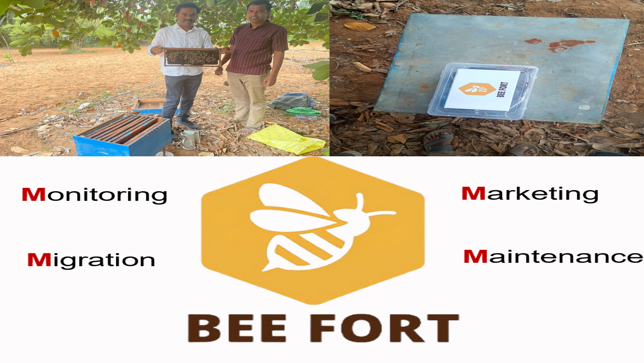 Bee Fort technology team developing smart beekeeping devices